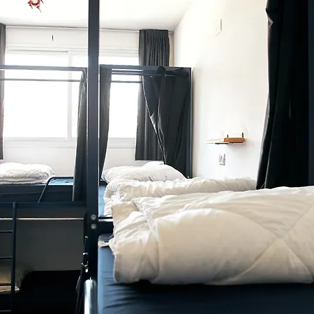 Jungle Jaffa Hostel Age 18 To 45-3